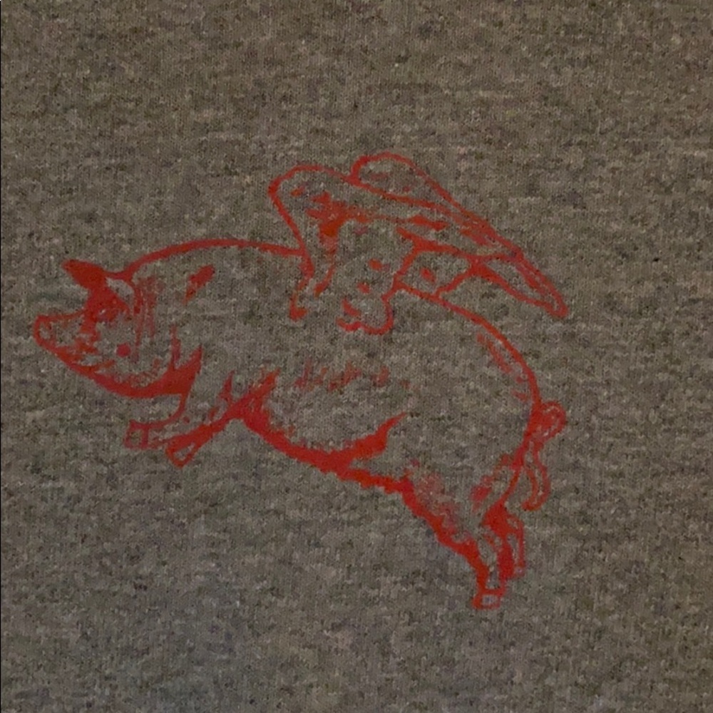 Flying Pig Arkansas Razorback tee - Picture 2 of 2
